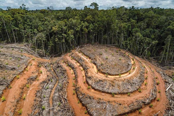 Medio planeta deforestado, México seco