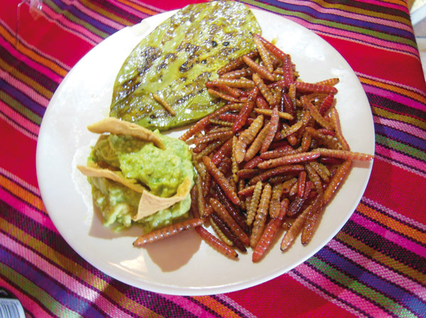Tlaxcala gastronomia