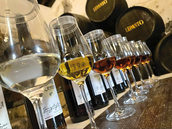 Los Vinos de Jerez- Xérès-Sherry DO