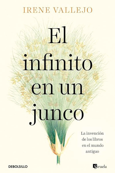 La adaptación gráfica de “El infinito en un junco”, de Irene Vallejo