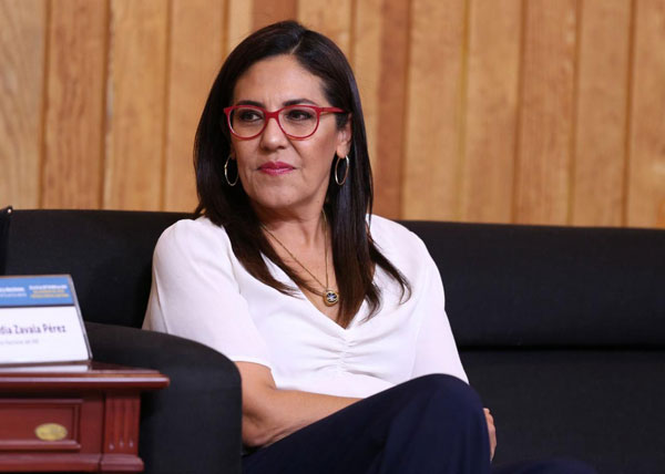 Claudia Zavala Pérez y la complejidad de la elección de jueces