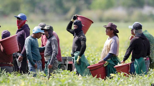 Migración, mercado furtivo del capital