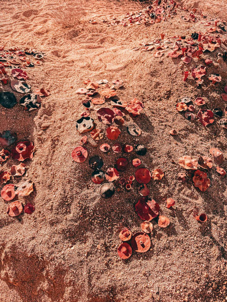 Fungi Nipple: Honrar lo femenino, reverenciar la Tierra