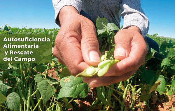 Soberanía alimentaria está a 287 mmdp