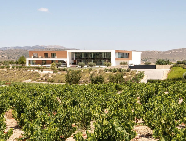 La historia de Casa Rojo: un viaje enológico que se convirtió en legado