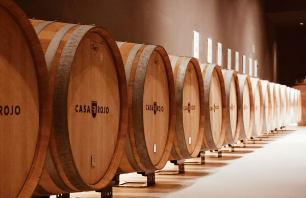 La historia de Casa Rojo: un viaje enológico que se convirtió en legado