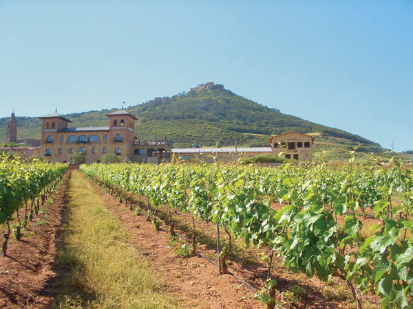 Castillo de Monjardín
